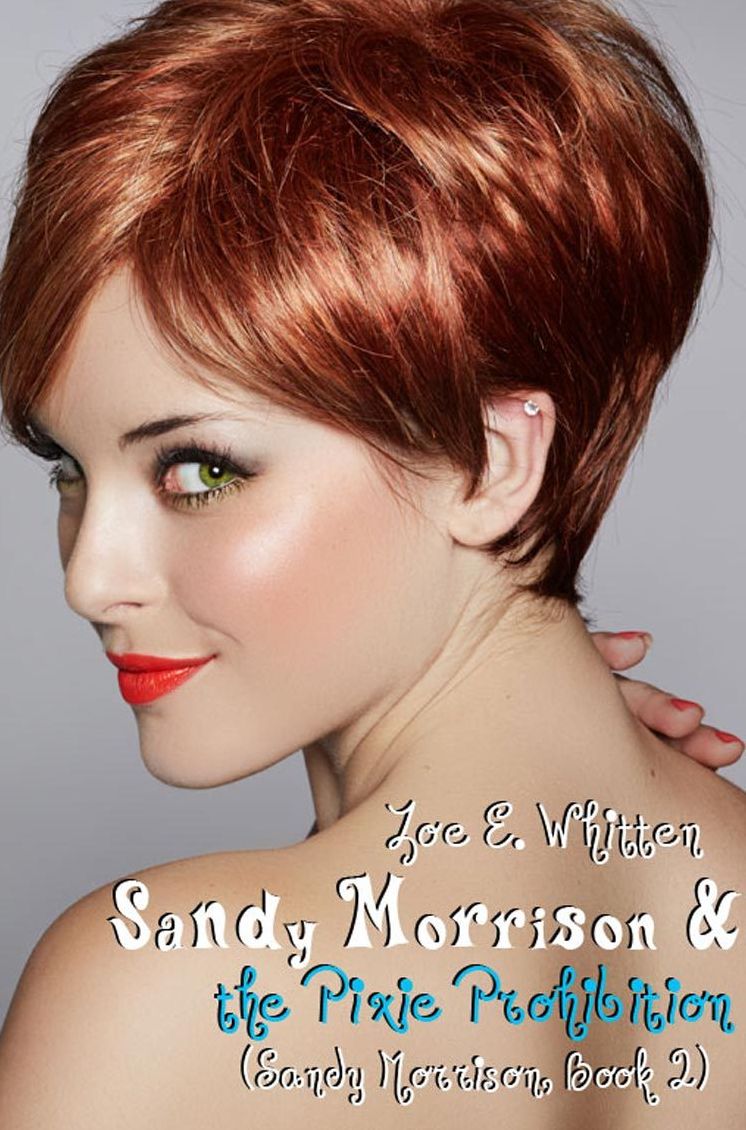 Sandy Morrison and the Pixie Prohibition (Sandy Morrison 2)