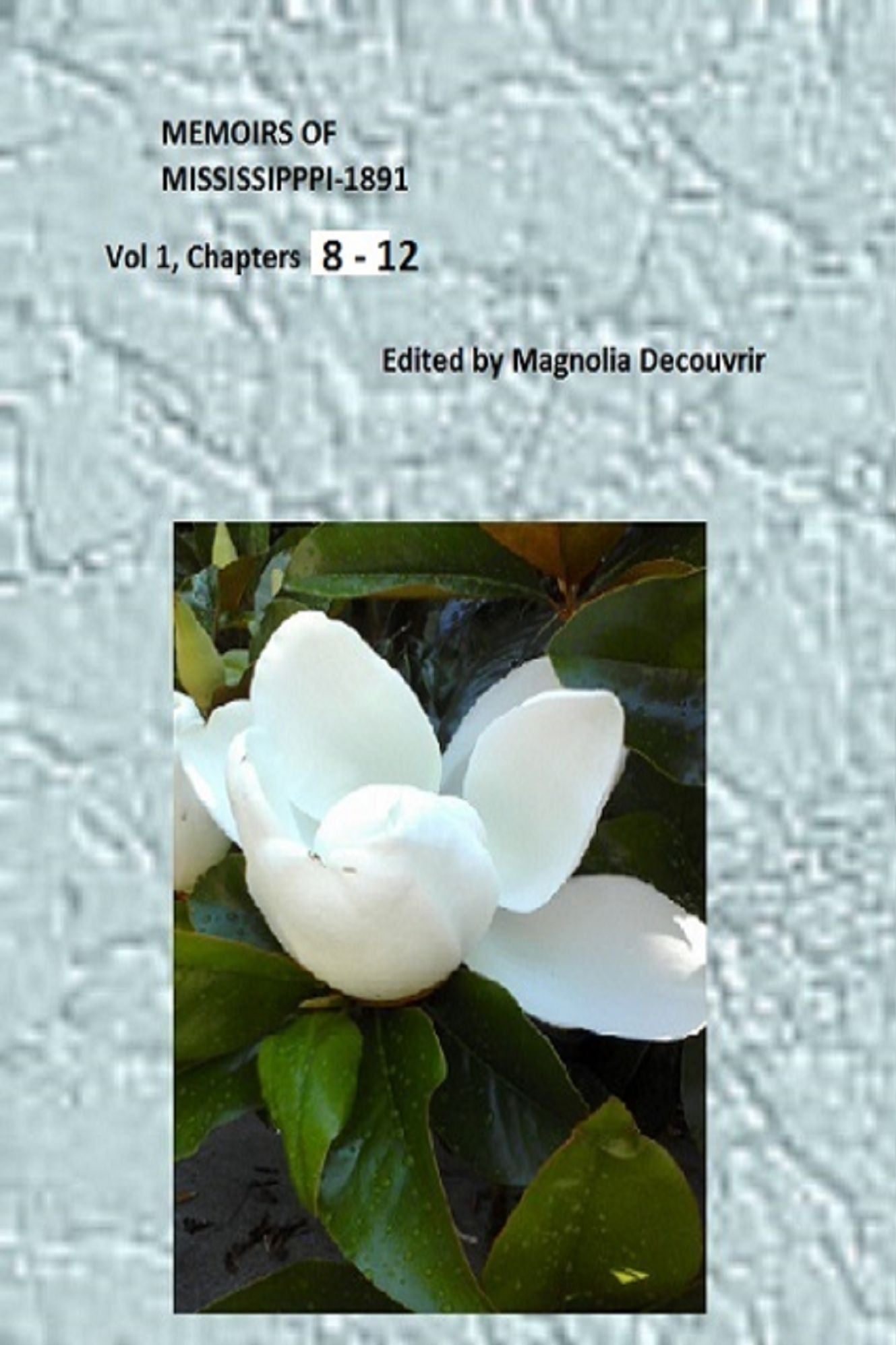 Memoirs of Mississippi, 1891 Chapters 8 - 12