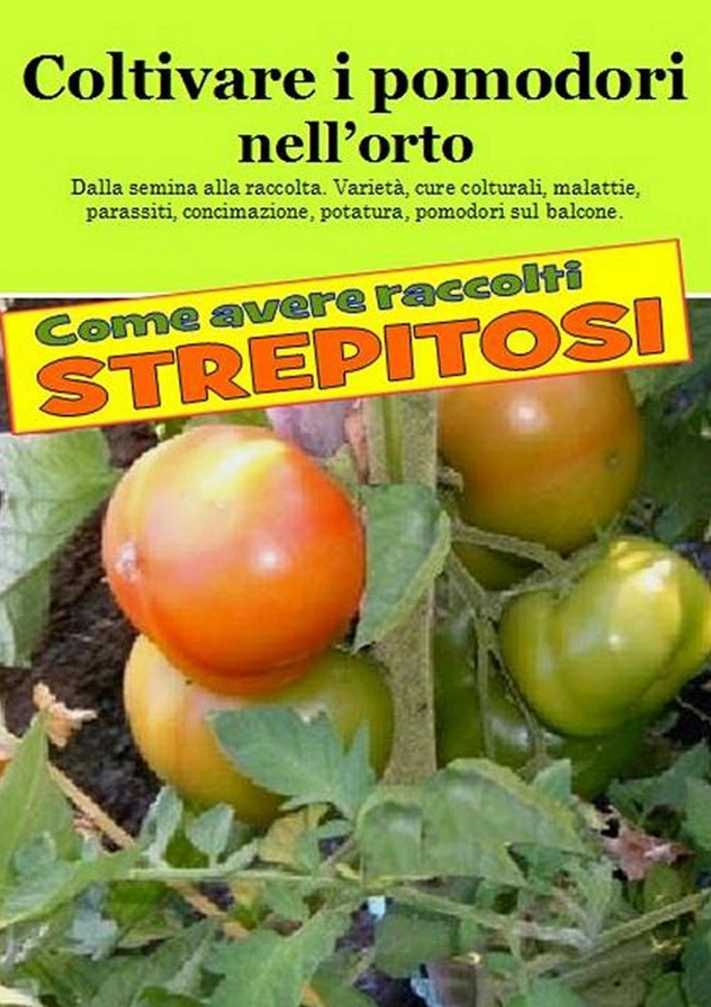 Coltivare i pomodori nelll