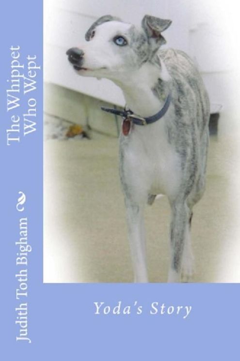 The Whippet Who Wept: Yoda's Story