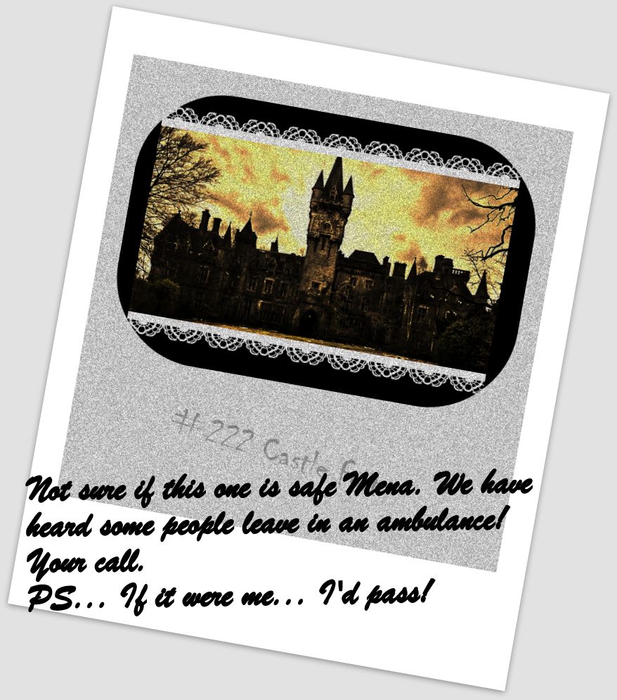 Mena Peno Case #222 Castle Fort - Awakenings