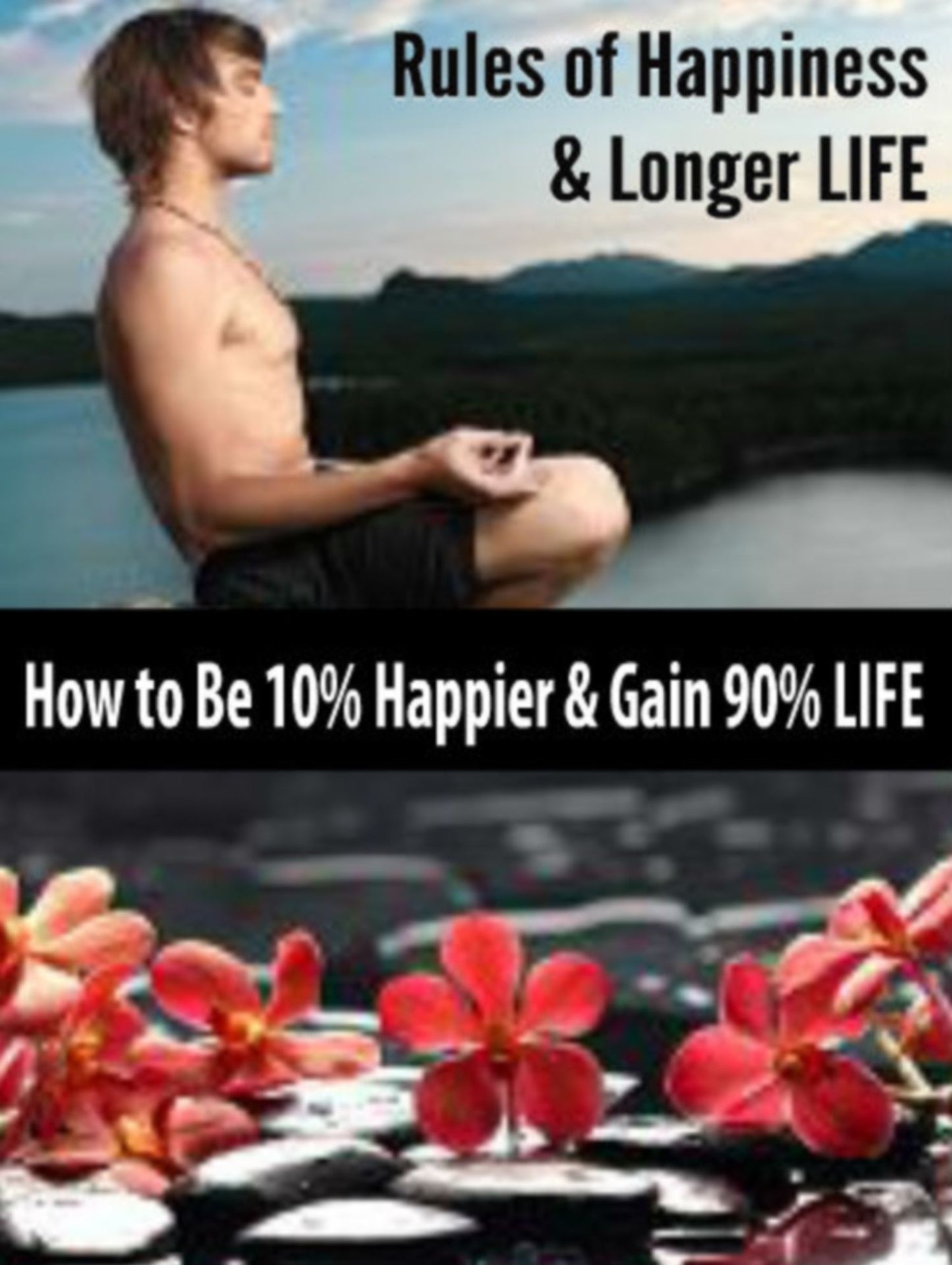 Rules Of Happiness & Longer LIFE! How To Be 10% Happier & Gain 90% LIFE! - 4 In 1 Box Set