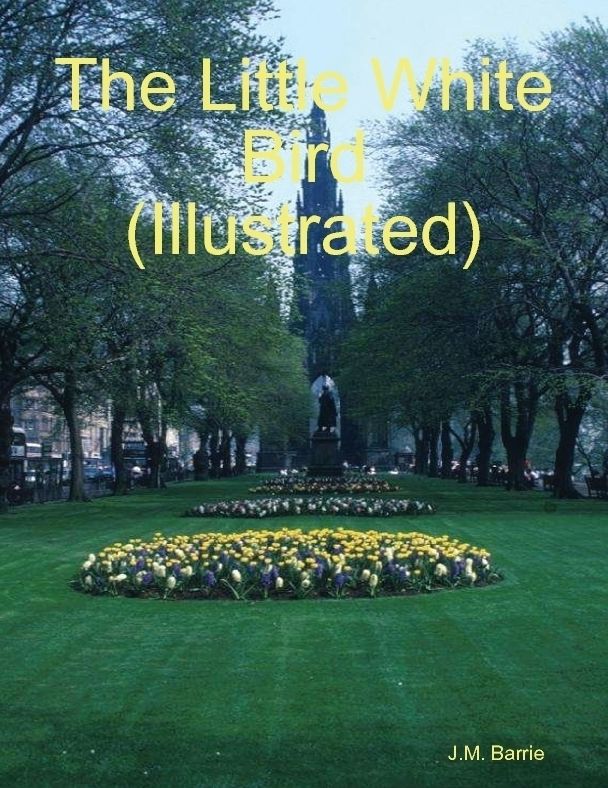 The Little White Bird (Illustrated)