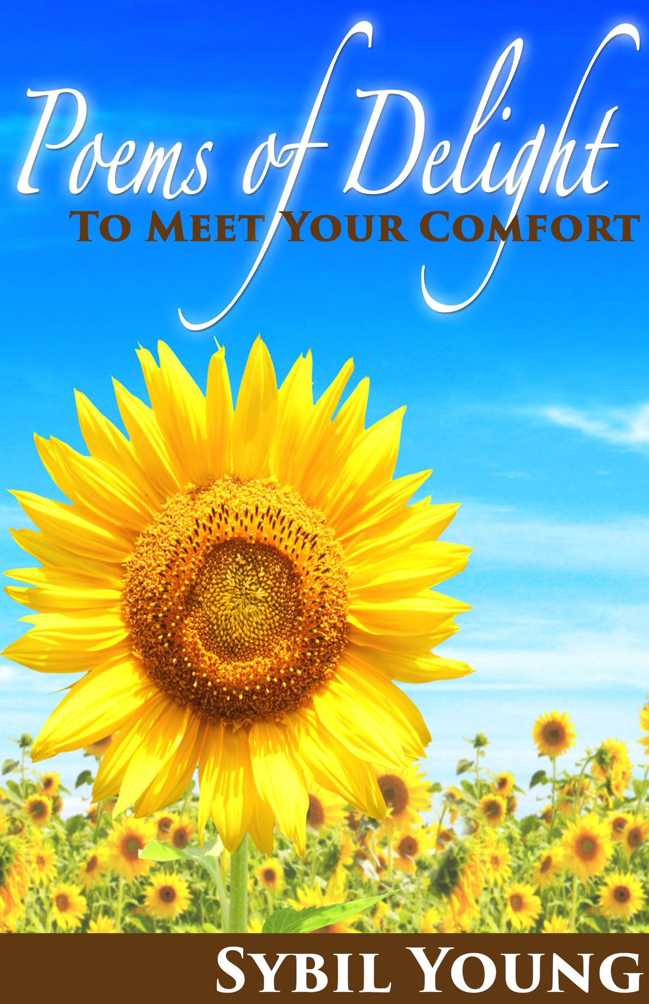 Poems of Delight To Meet Your Comfort