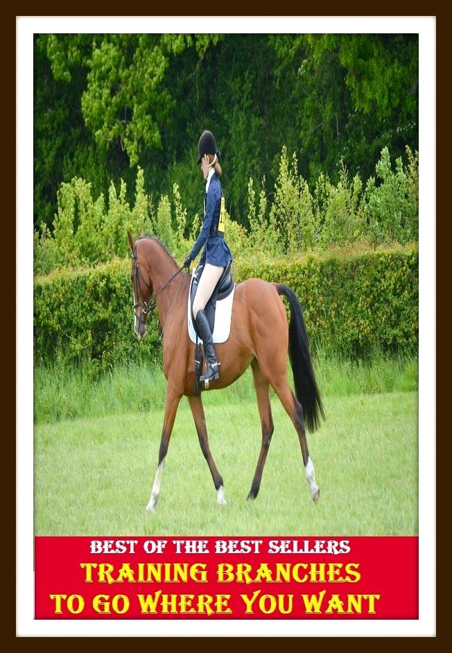 Best of The Best Sellers	Training Branches To Go Where You Want (arm, bureau, chapter, division, member, office, section, subsidiary, wing, annex)