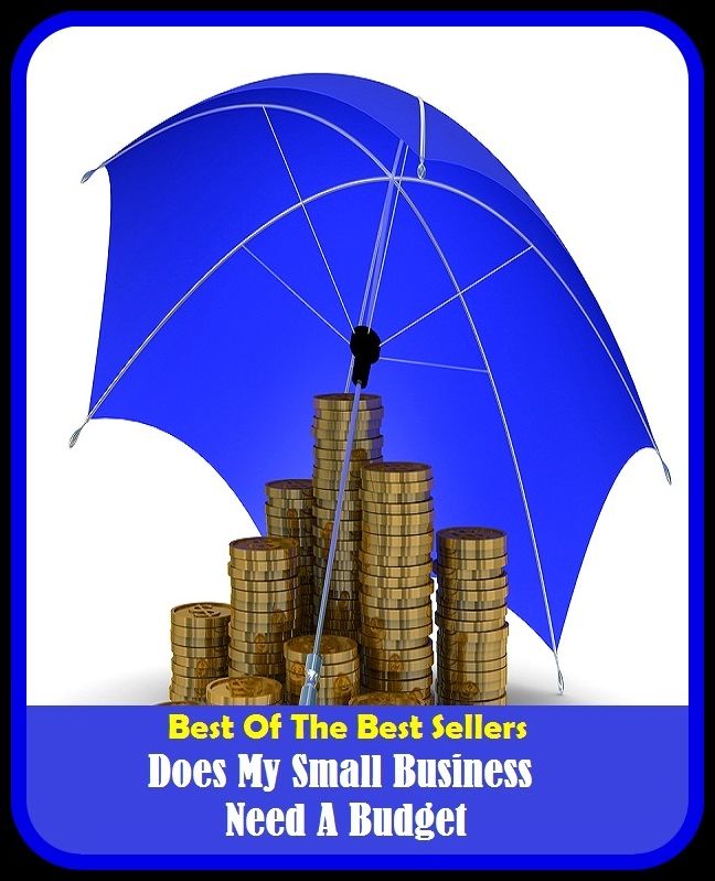 Best of the Best Sellers Does My Small Business Need A Budget (work, line of work, occupation, profession, career, employment, job, position, vocation, calling)