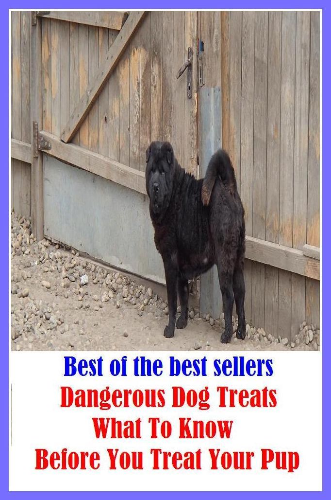 Best of the Best Sellers Dangerous Dog Treats What To Know Before You Treat Your Pup (danger less, danger man, dangerous, dangerous behavior, dangerous cargo, dangerous goods, dangerous offender, dangerous undertaking, dangerously, dangerousness)