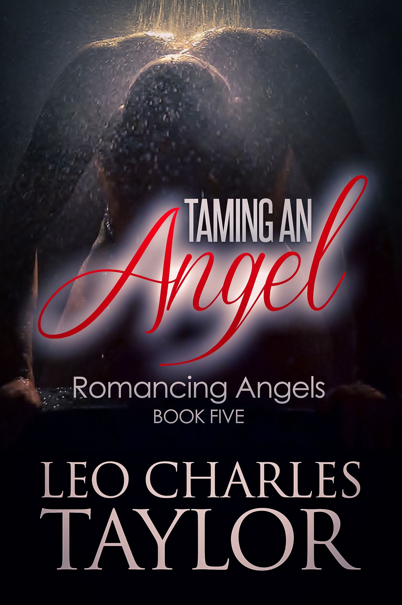 Taming An Angel