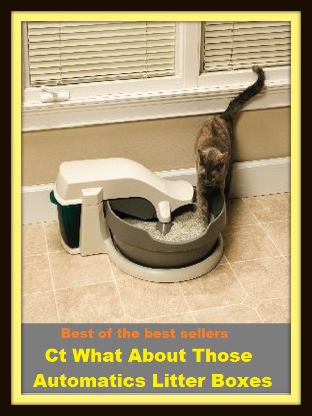 Best of the Best Sellers Ct What About Those Automatics Litter Boxes(pot, head, jhon, jhonny, latrine, lavotory, outhouse, potty, privy, restroom)