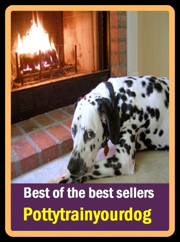 Best of the Best Sellers Pottytrainyourdog (potty-chair, potty-mouthed, potty-trained, potty-training, potty mouth, opulent, allotrope, potyviridae, potyvirus, poi domain factors)