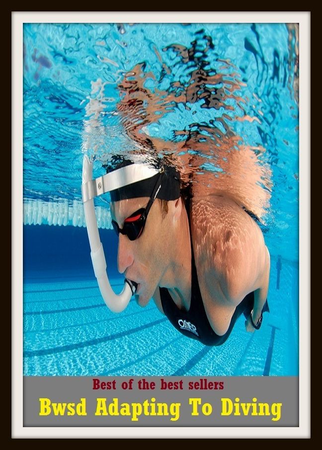 Best of the Best Sellers Bwsd Adapting To Diving (bump, collapse, collide, ditch, dive, drop, hurtle, lurch, meet, pitch)