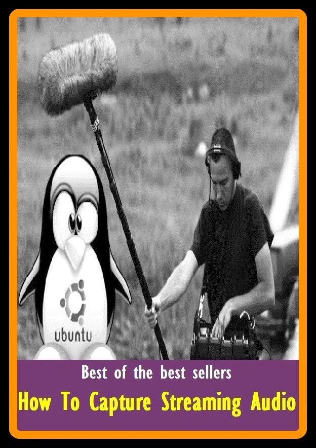 Best of the best sellers How To Capture Streaming Audio ( way, method, means, technique, mode, system, approach, manner, line of attack, routine )
