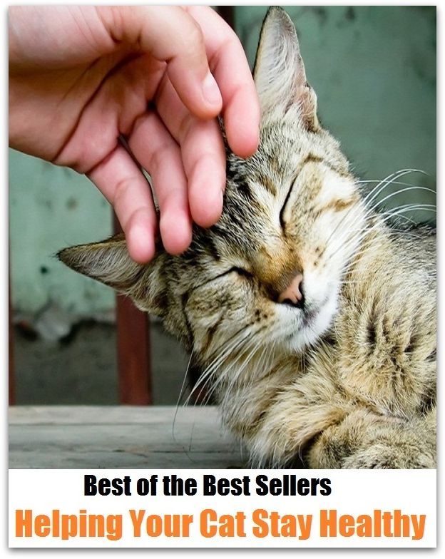Best of the Best Sellers Helping Your Cat Stay Healthy ( advantageous, wholesome, auspicious, well, benevolent, vigorous, big, valid, bonny, trim, braw, tidy, bueno, tall, bunkum, sturdy )