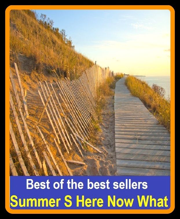 Best of the best sellers Summer S Here Now What ( Theology, Ethics, Thought, Theory, Self Help, Mystery, romance, action, adventure, sci fi, science fiction, drama, horror, thriller, classic, novel, literature, suspense )