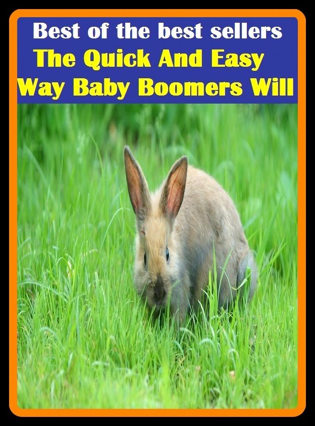 Best of the best sellers The Quick And Easy Way Baby Boomers Will ( children, infant, nino, kid, childhood, son, kids, baby, enfant, boy, enfant, infantil, juvenile, infantile, minor, minors, secondary, daughter, enfant, girl, ninos )