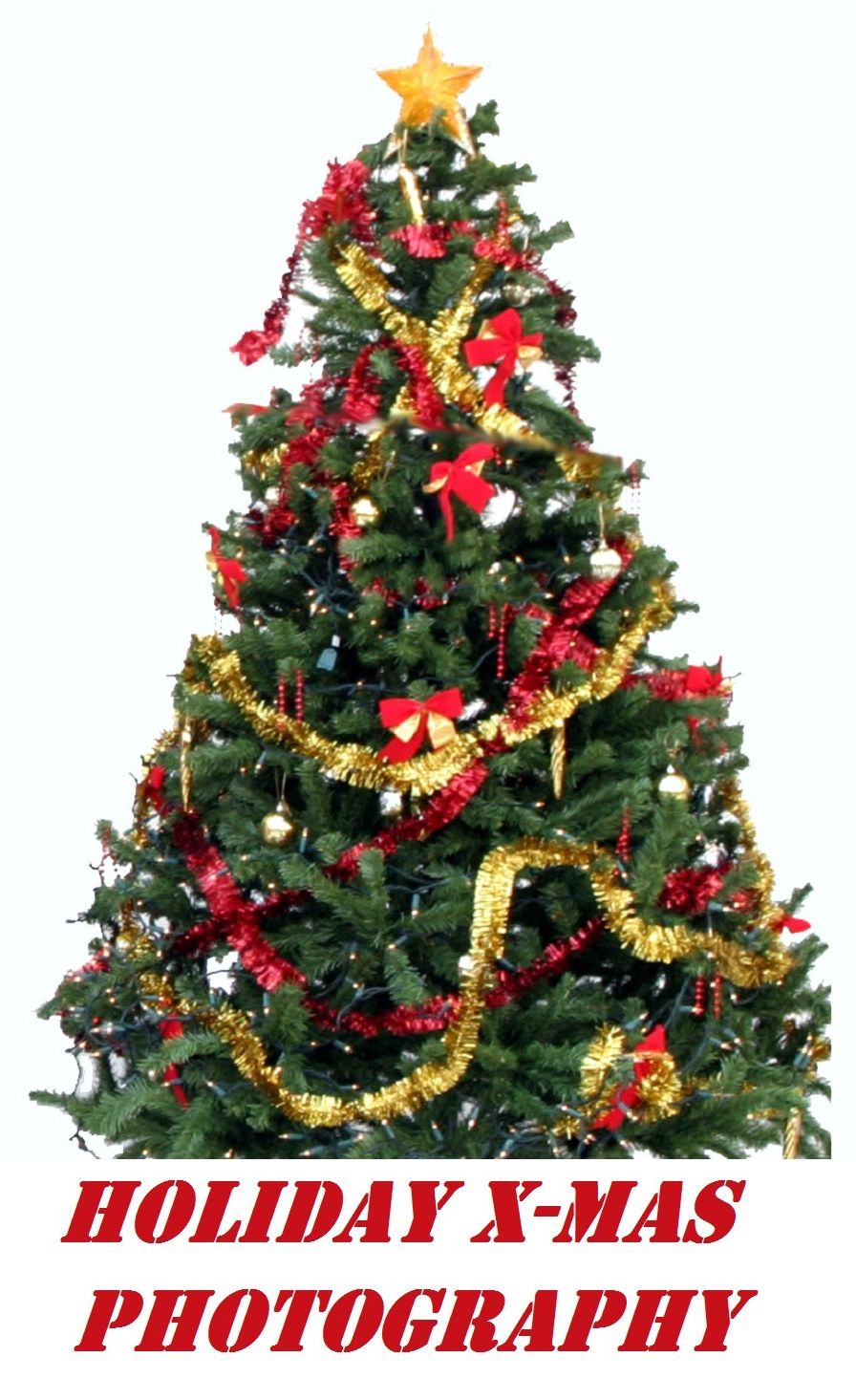 Christmas Book: Christmas Kids Photo Books 141 (Christmas, Holiday, Religion, Christ, Christian, Santa, North Pole, Reindeer, Star, Ornaments, Christmas Tree)