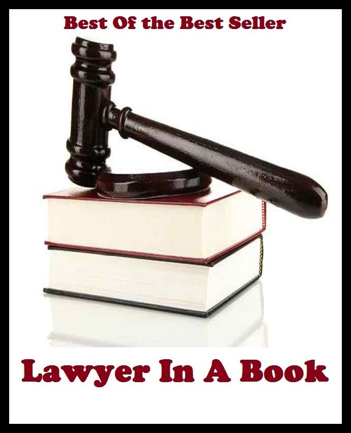 Best of the best sellers Lawyer In A Book ( book, drama, fable, myth, story, tale, narrative, account, yarn, legend, fairy tale, chronicle, anecdote )