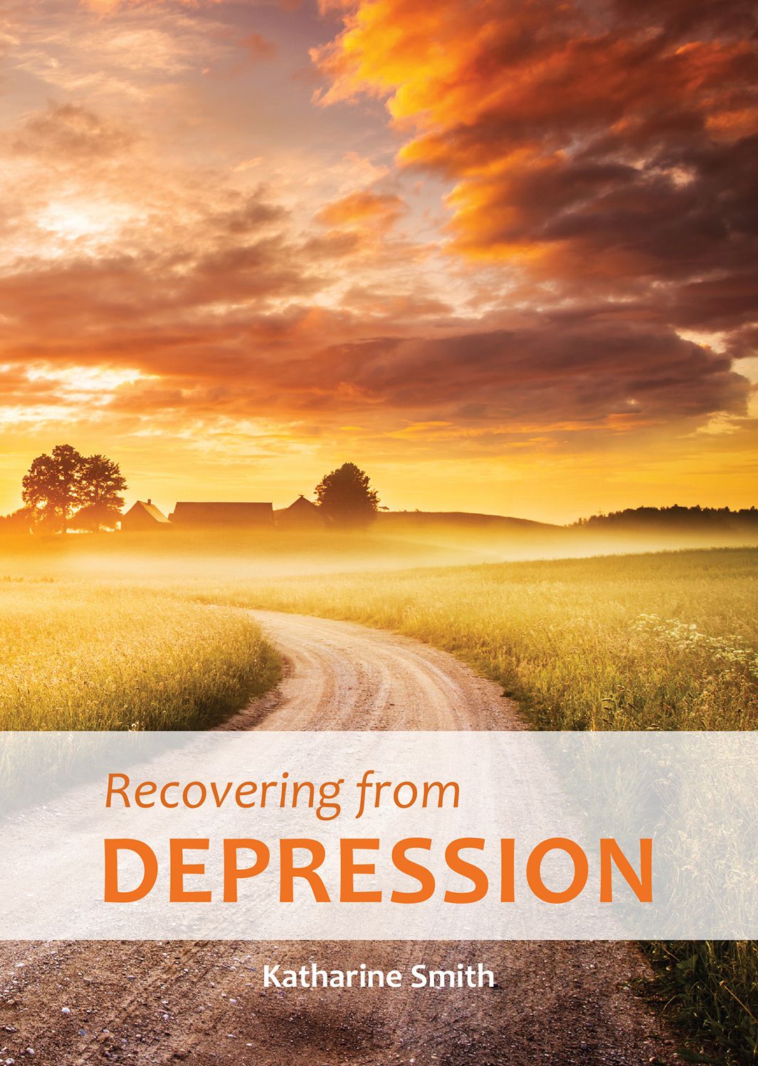Recovering from Depression: A Companion Guide for Christians