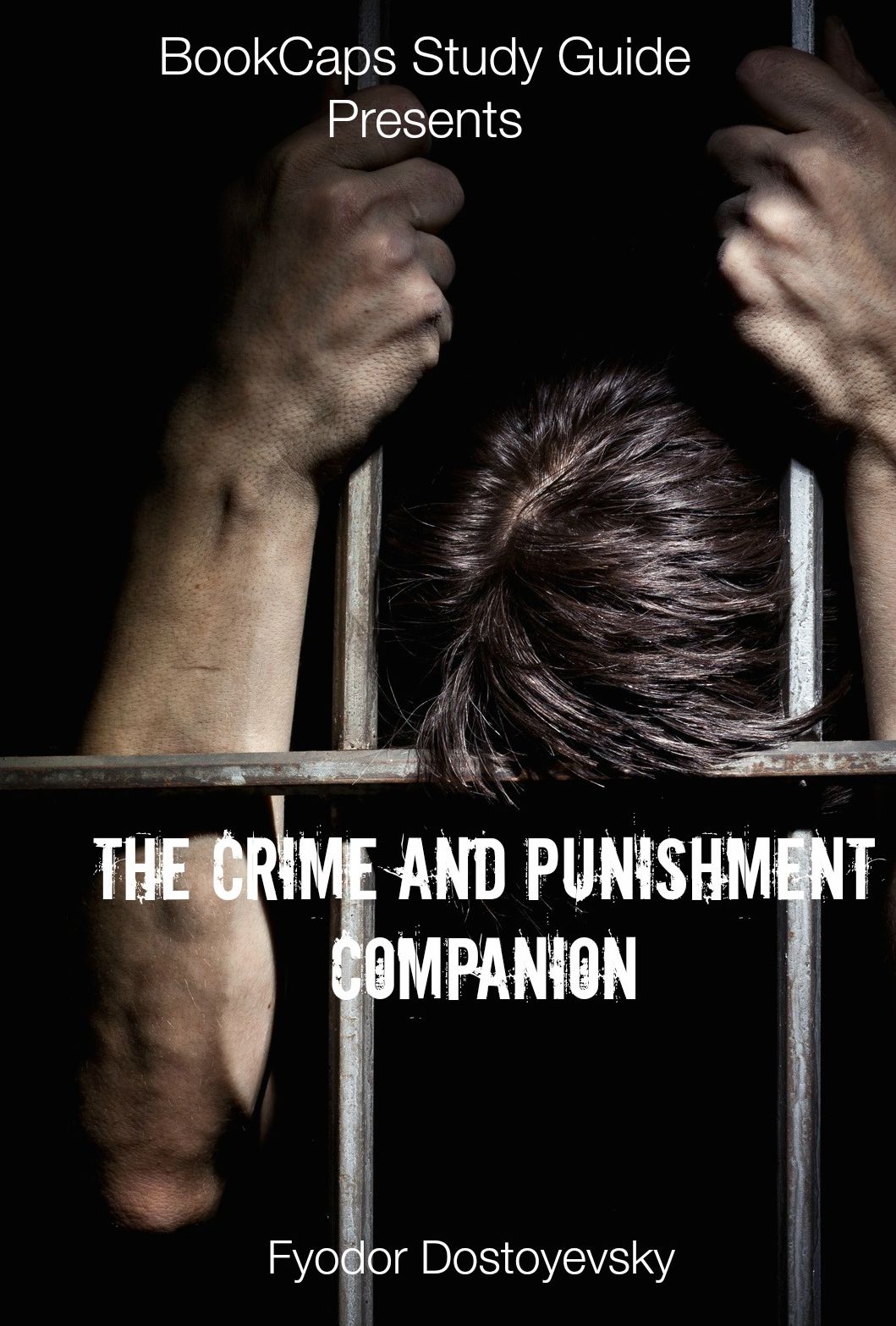 The Crime and Punishment Companion (With Book and Study Guide)