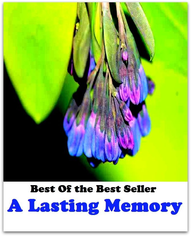 Best of the best sellers A Lasting Memory ( Theology, Ethics, Thought, Theory, Self Help, Mystery, romance, action, adventure, sci fi, science fiction, drama, horror, thriller, classic, novel, literature, suspense )
