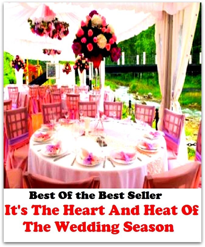Best of the best sellers It S The Heart And Heat Of The Wedding Season ( families, household, familial, domestic, relatives, households, dynasty, home, familiar, household-type, family-run, family-related, family-owned, kin )