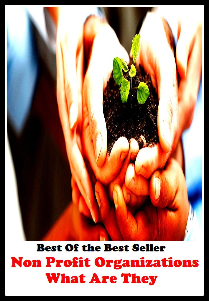 Best of the best sellers Non Profit Organizations What Are They ( education, university, varsity, college, degree, graduation, post graduation, bba, mba, business administration, marketing, management, human resource )