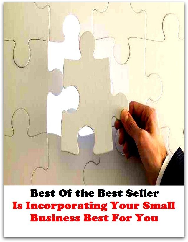Best of the best sellers Is Incorporating Your Small Business Best For You ( education, university, varsity, college, degree, graduation, post graduation, bba, mba, business administration, marketing, management )