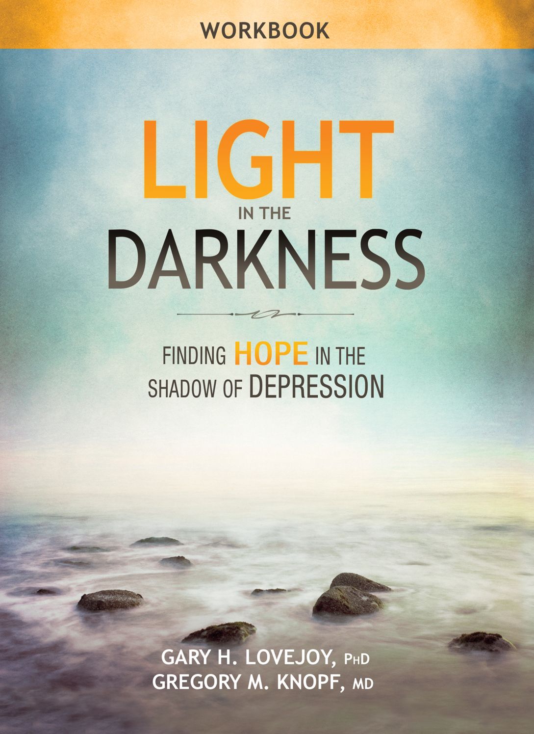 Light in the Darkness Workbook
