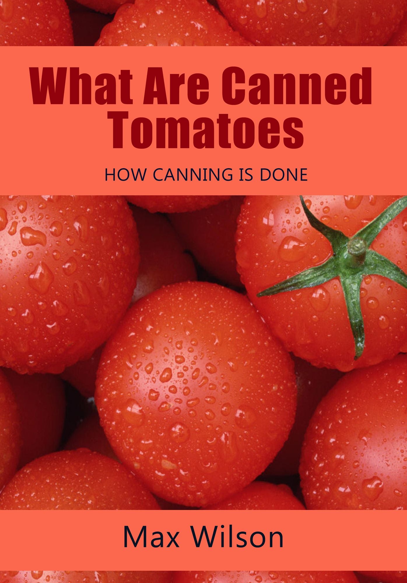 What Are Canned Tomatoes