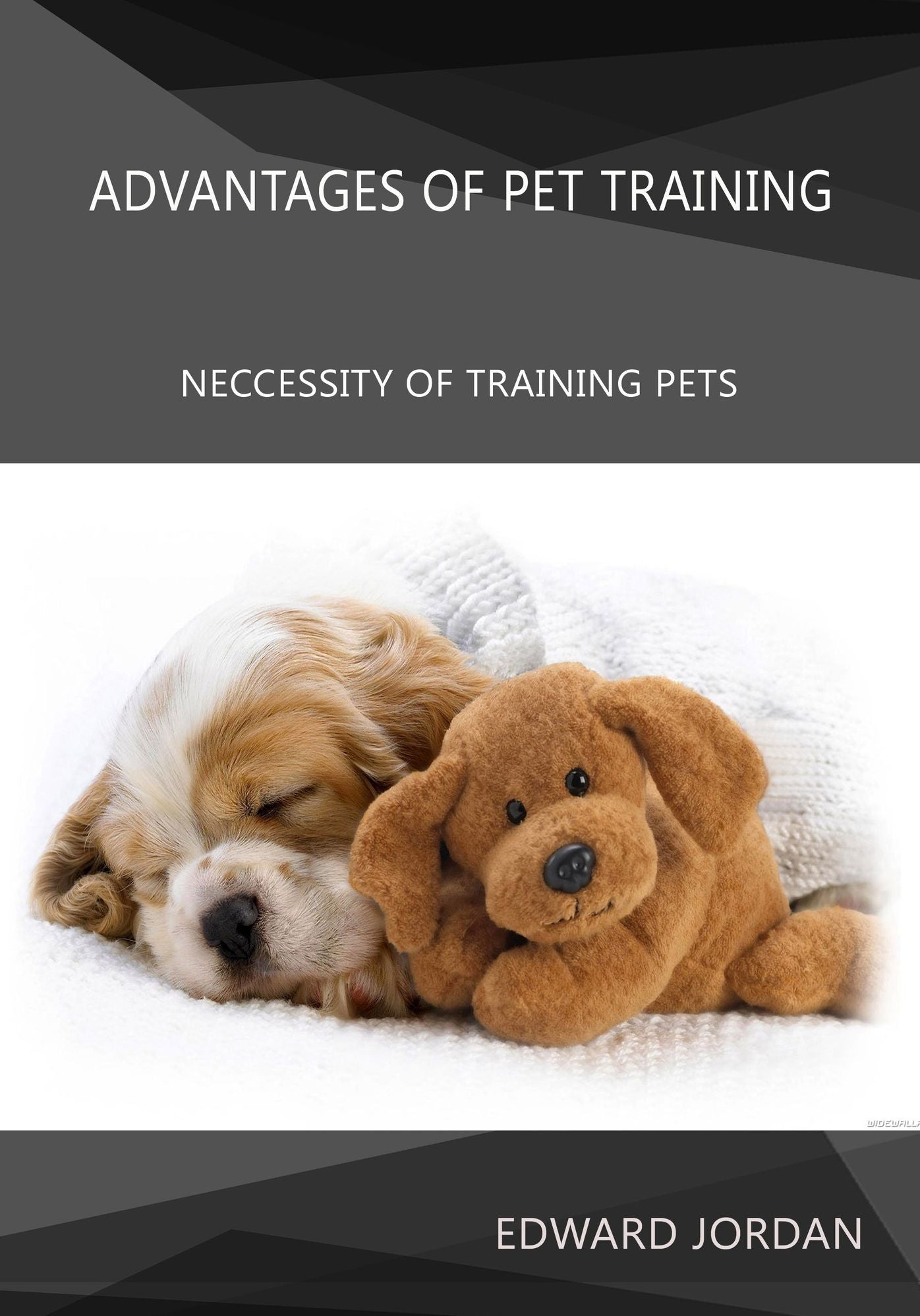 ADVANTAGES OF PET TRAINING