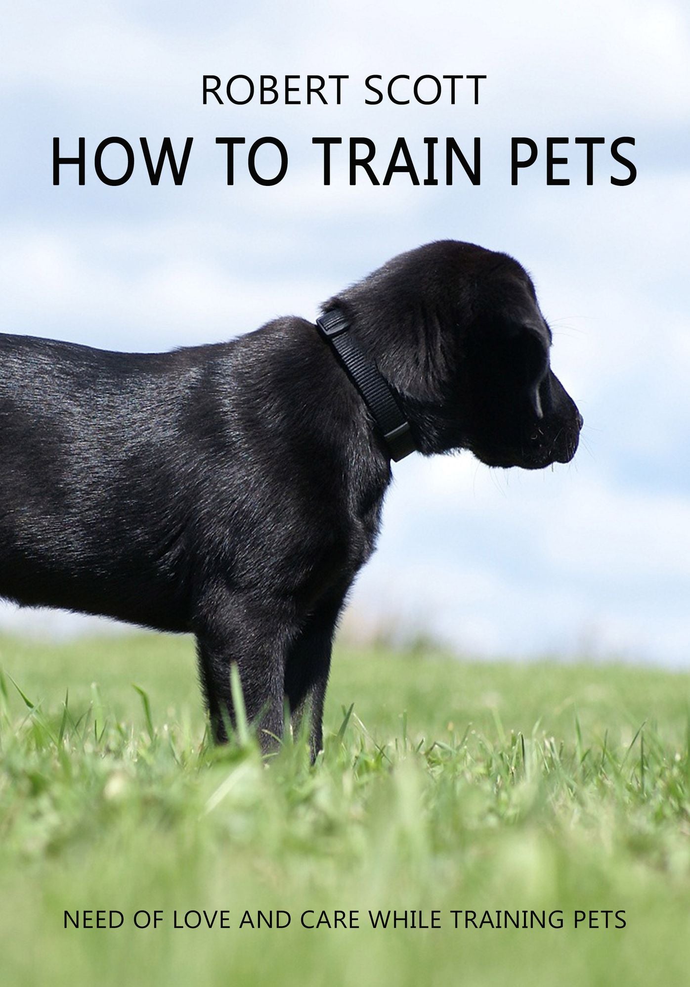 HOW TO TRAIN PETS