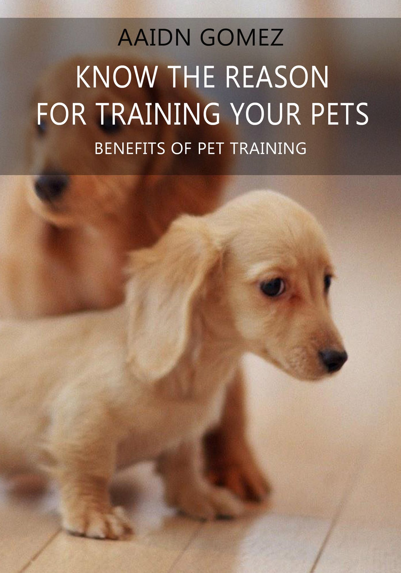 KNOW THE REASON FOR TRAINING YOUR PETS