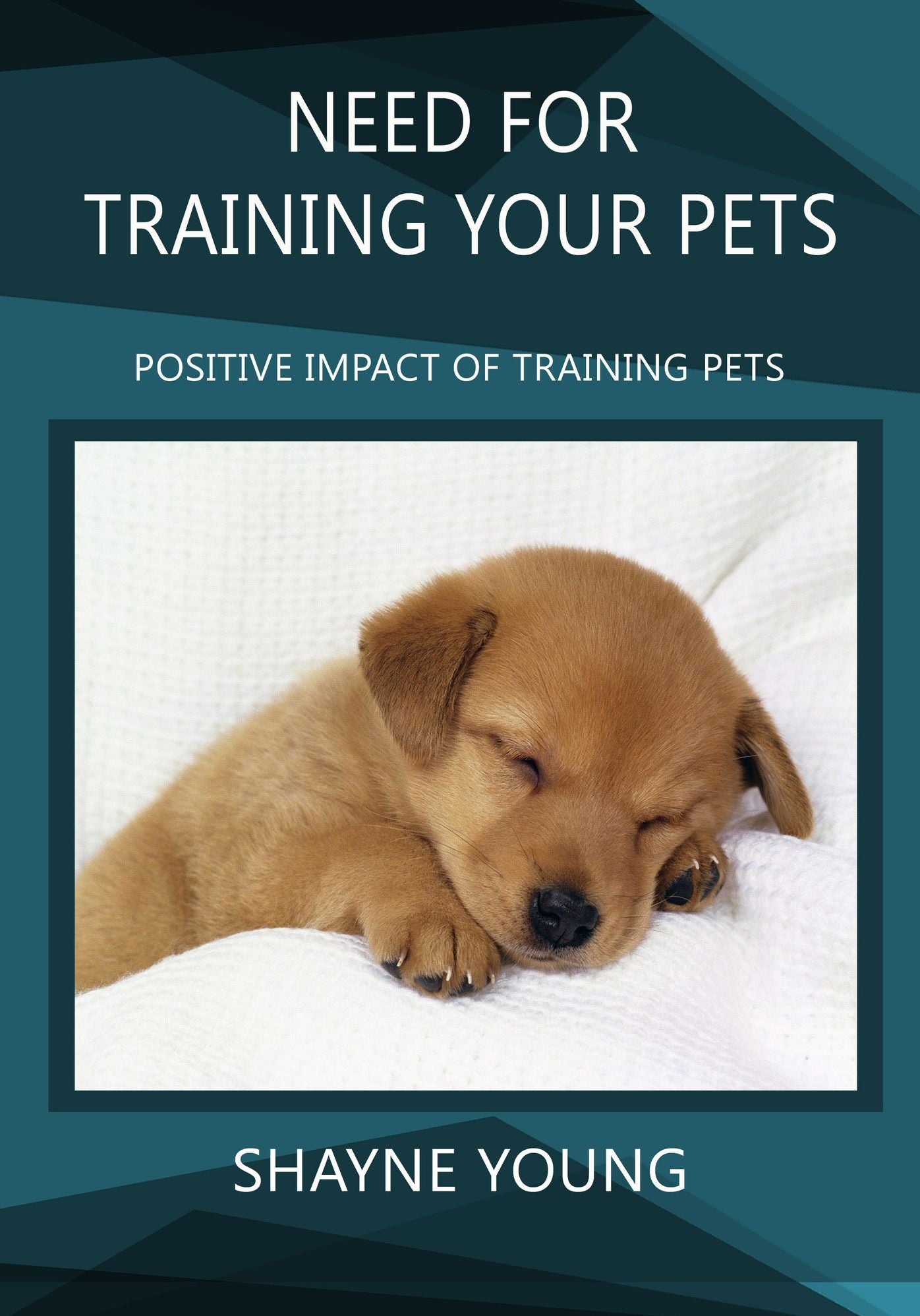NEED FOR TRAINING YOUR PETS