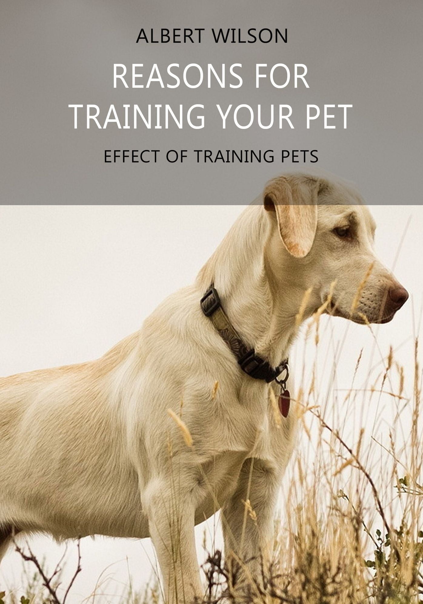 REASONS FOR TRAINING YOUR PET