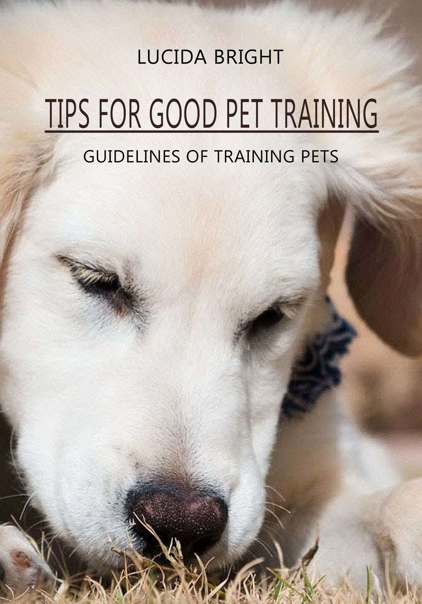 TIPS FOR GOOD PET TRAINING