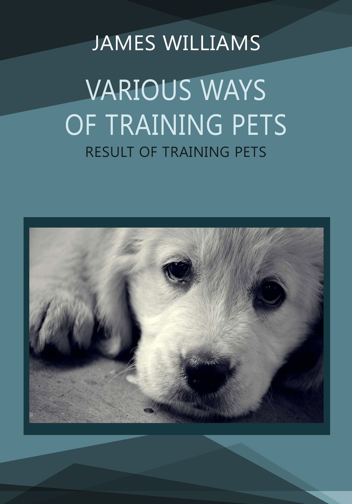 VARIOUS WAYS OF TRAINING PETS