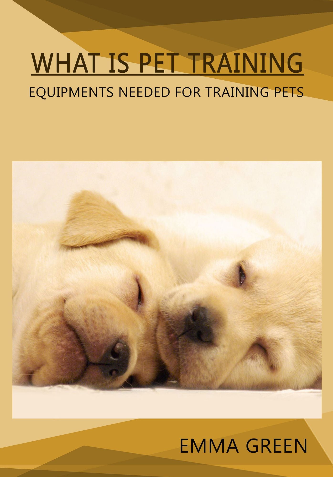 WHAT IS PET TRAINING