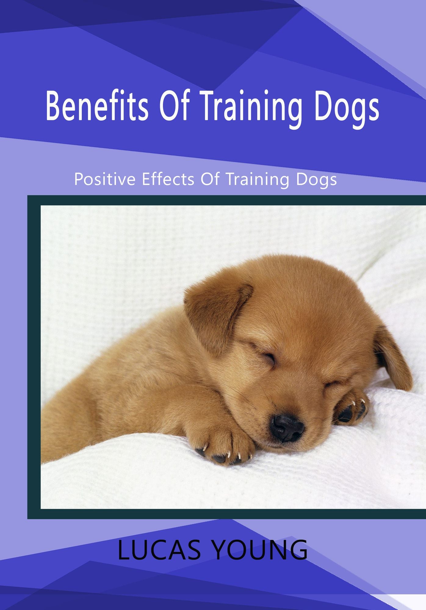 Benefits Of Training Dogs