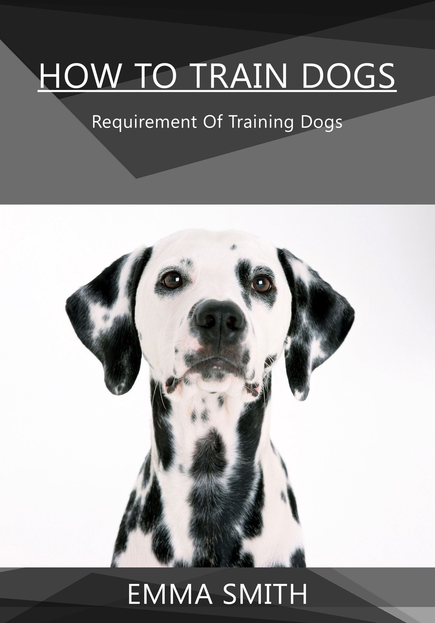 How To Train Dogs