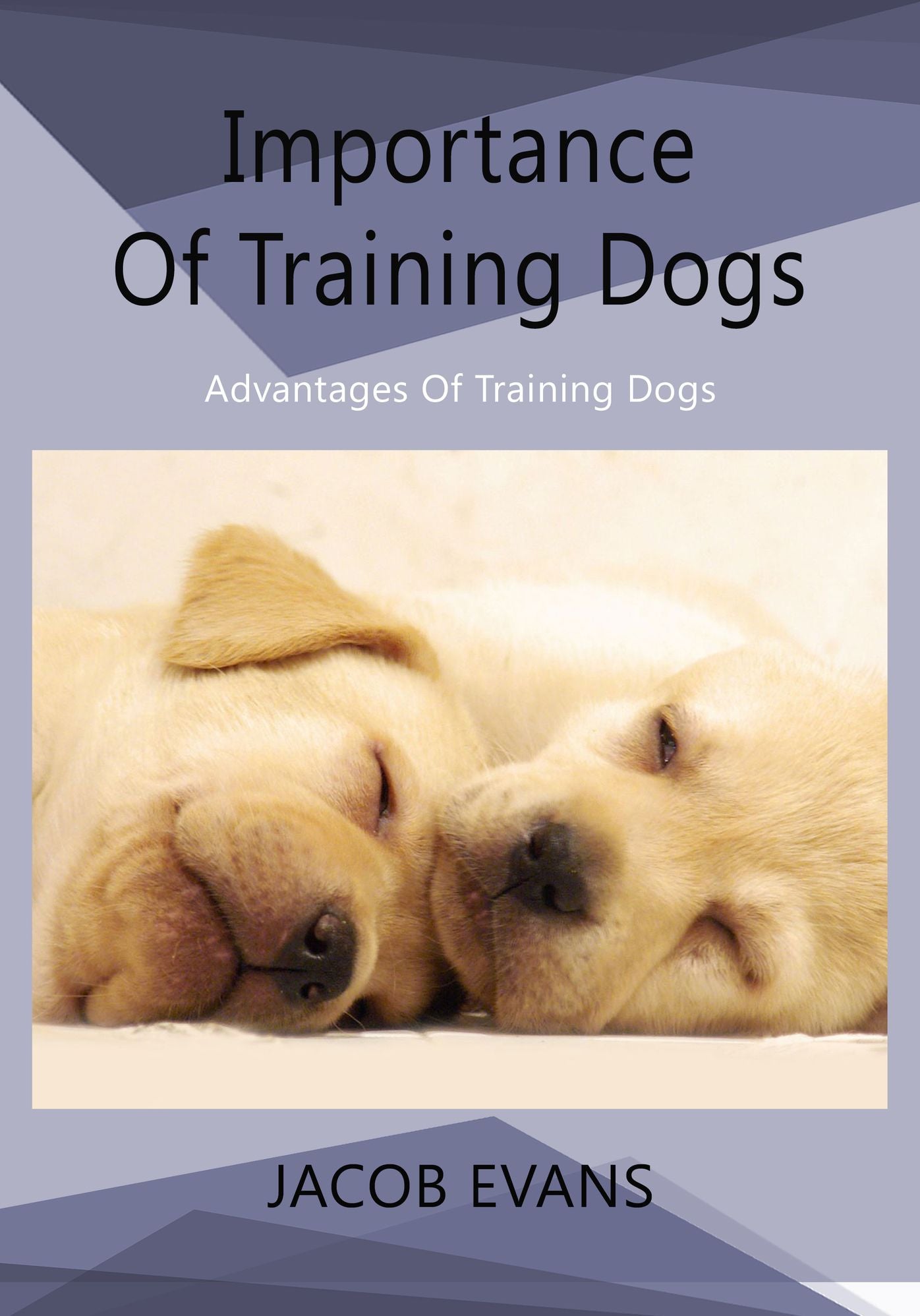 Importance Of Training Dogs