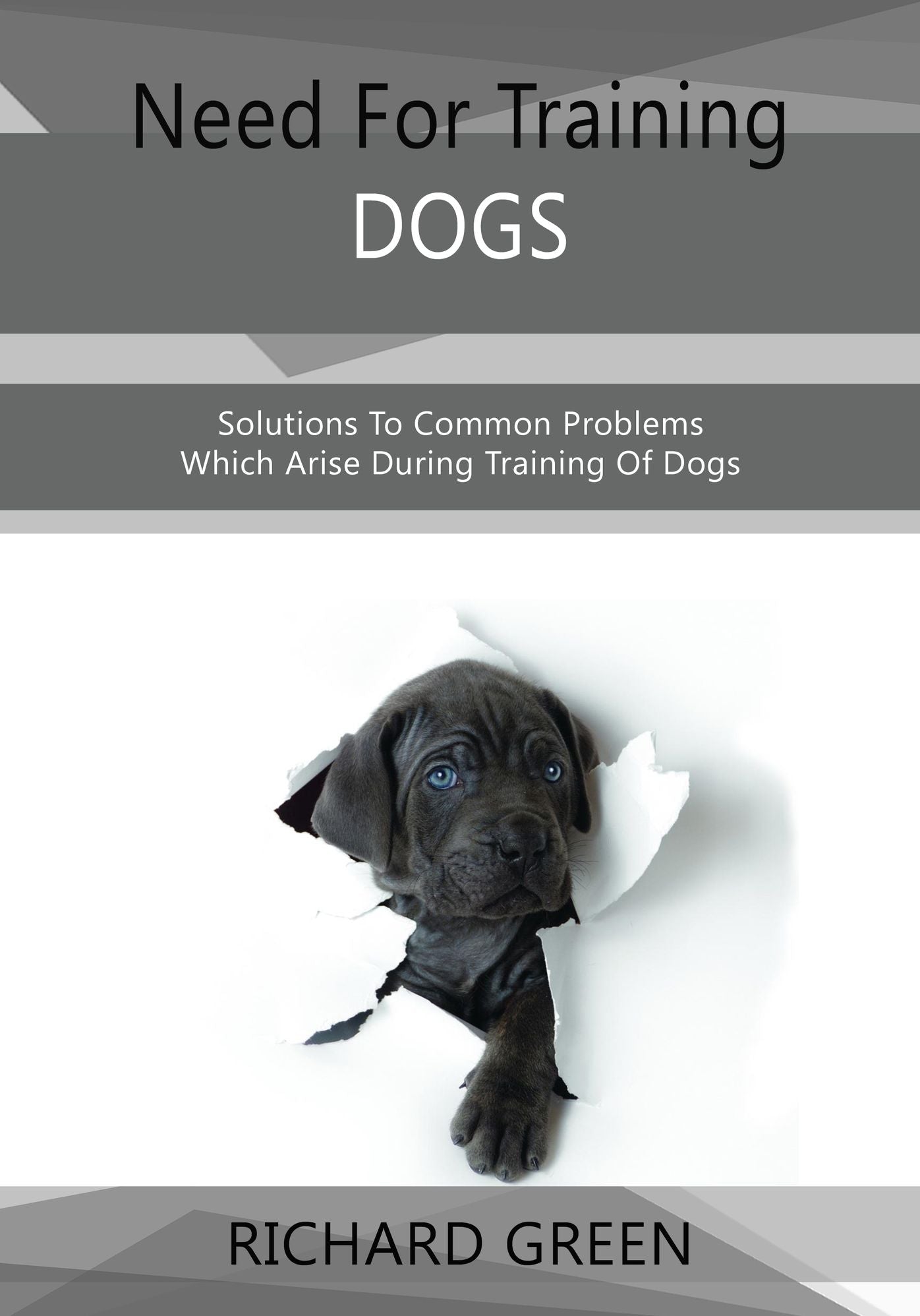 Need For Training Dogs