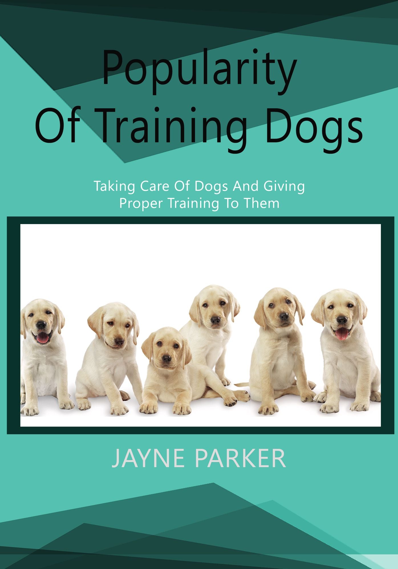 Popularity Of Training Dogs