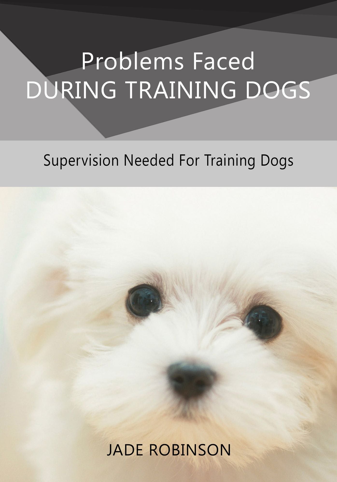 Problems Faced During Training Dogs