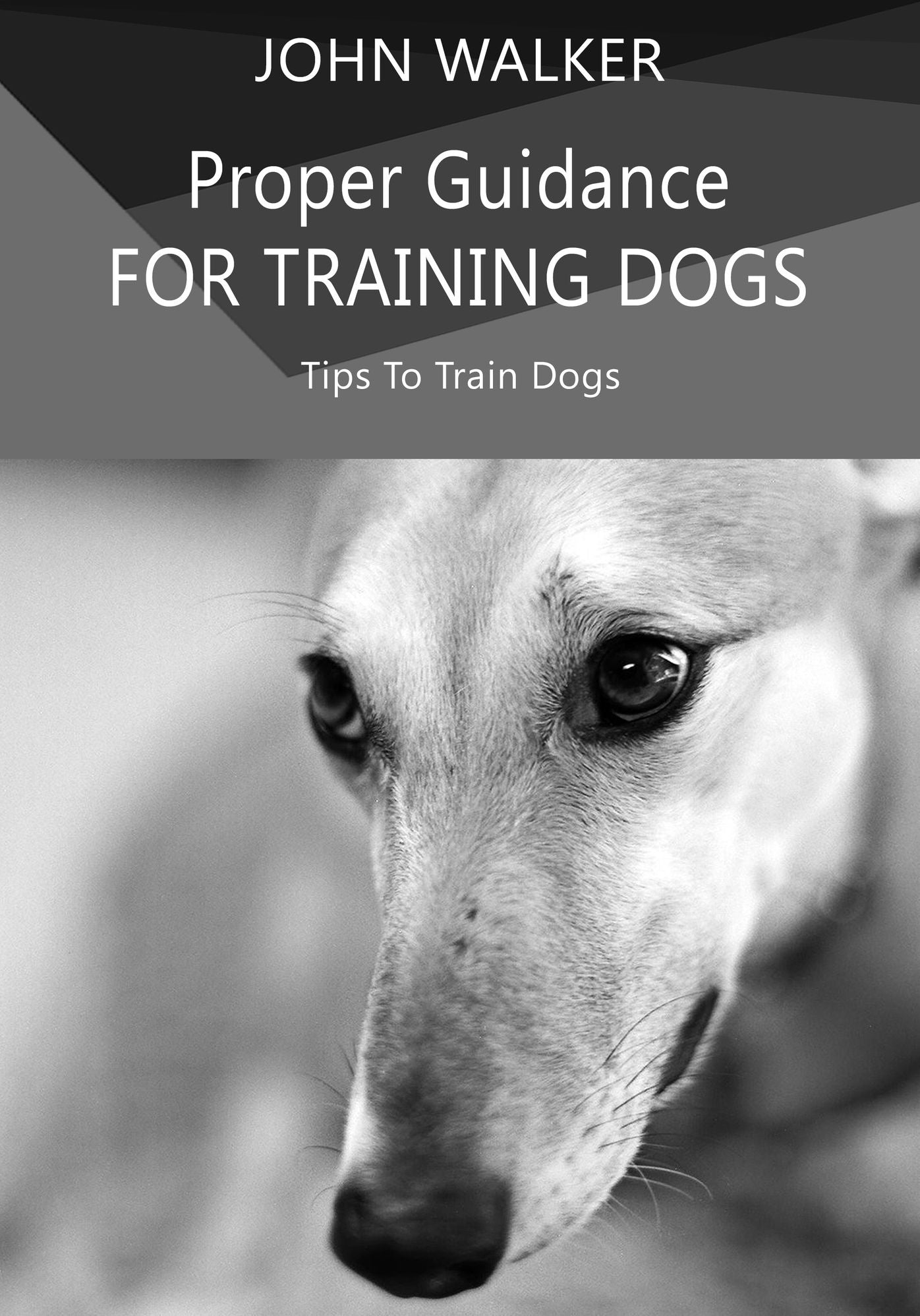 Proper Guidance For Training Dogs