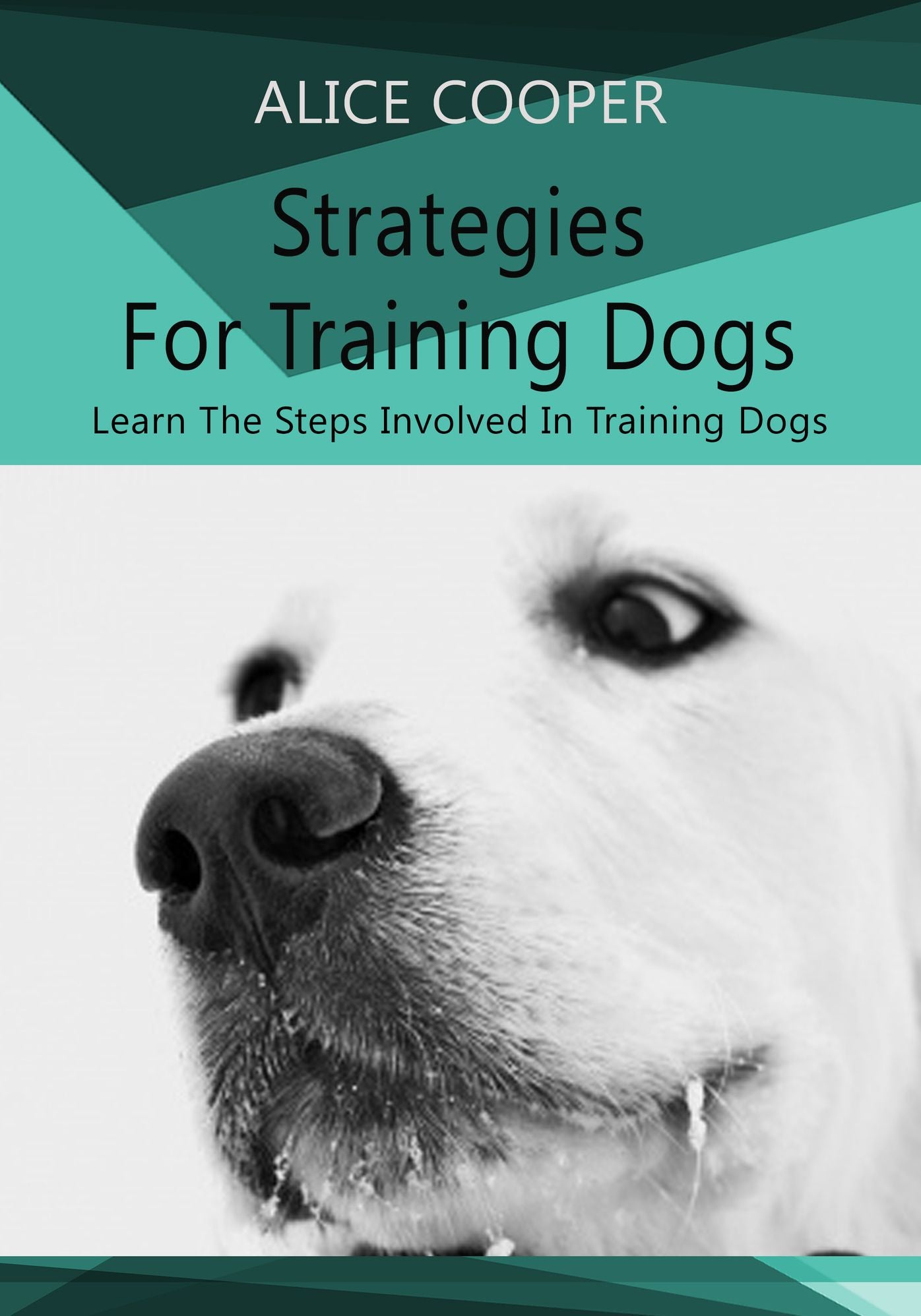 Strategies For Training Dogs