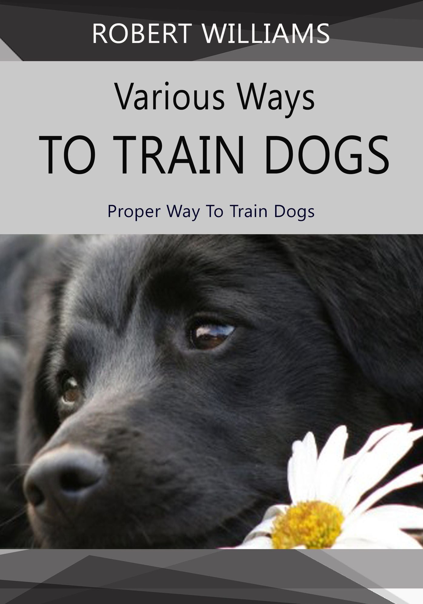 Various Ways To Train Dogs