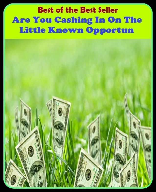 Best of the best seller Are You Cashing In On The Little Known Opportun(behavior,conduct,habits,style of living,way of acting,act,action,attitude,conduct,demeanor)