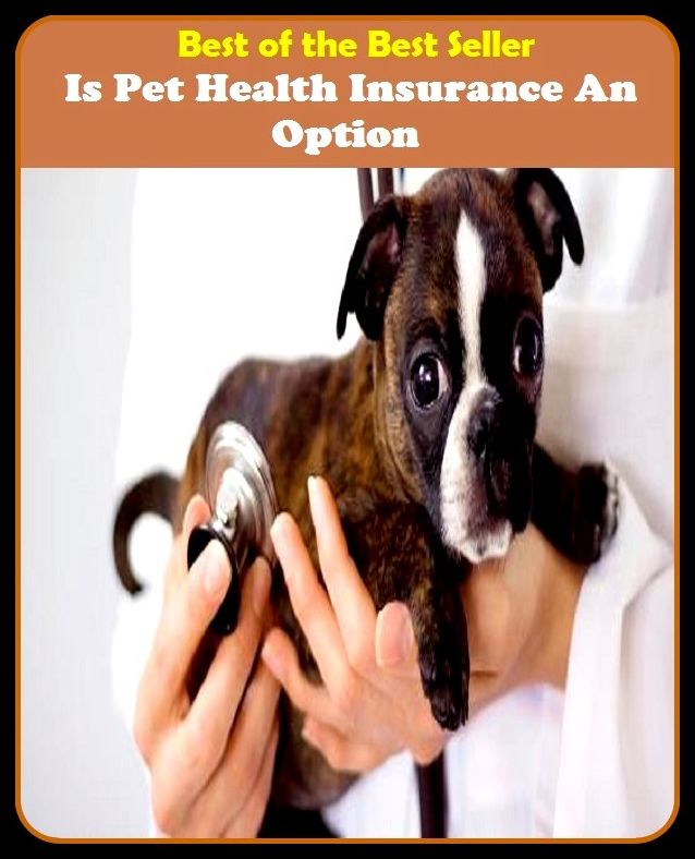 Best of the best seller Is Pet Health Insurance An Option(energy,fitness,strength,well-being,bloom,complexion,constitution,euphoria,fettle,form)