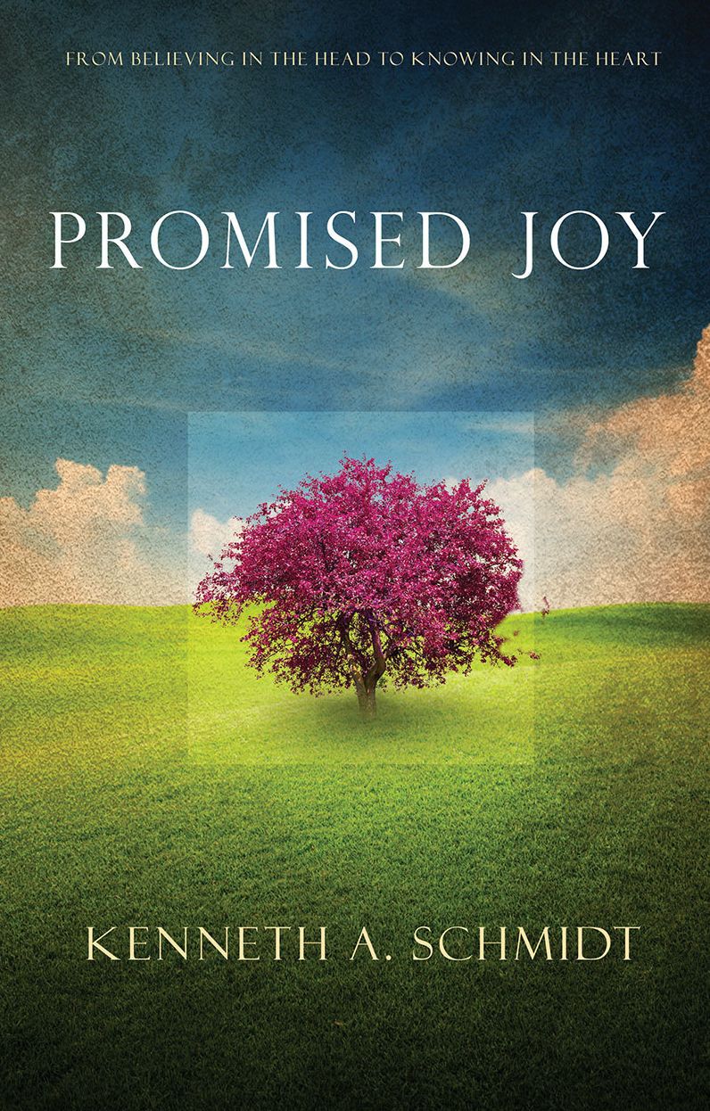 Promised Joy