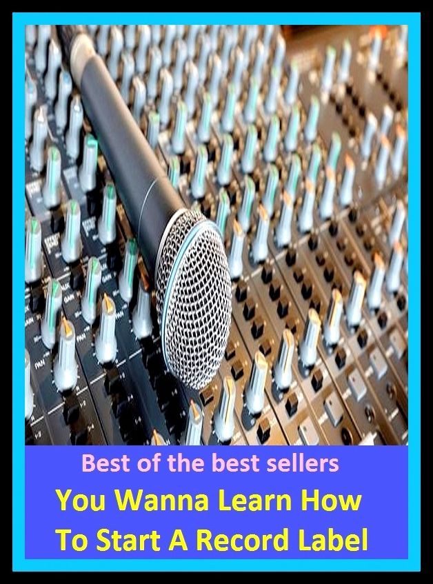 Best of the Best Sellers So You Wanna Learn How To Start A Record Label ( account(s), document(s), documentation, data, file(s), dossier(s), evidence, report(s), annals, archive(s )